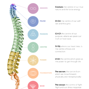 Spinal Flow Technique Sessions
